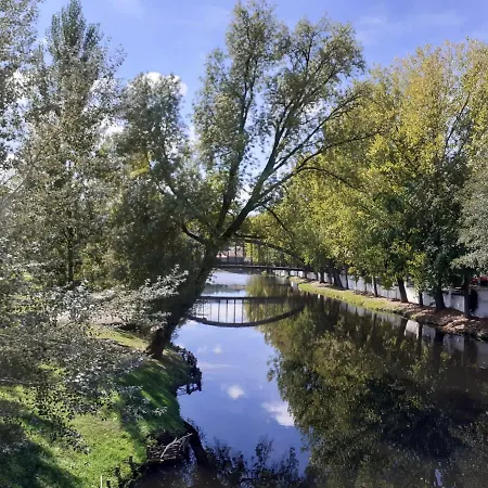 Hotel condo Hostel Serta *